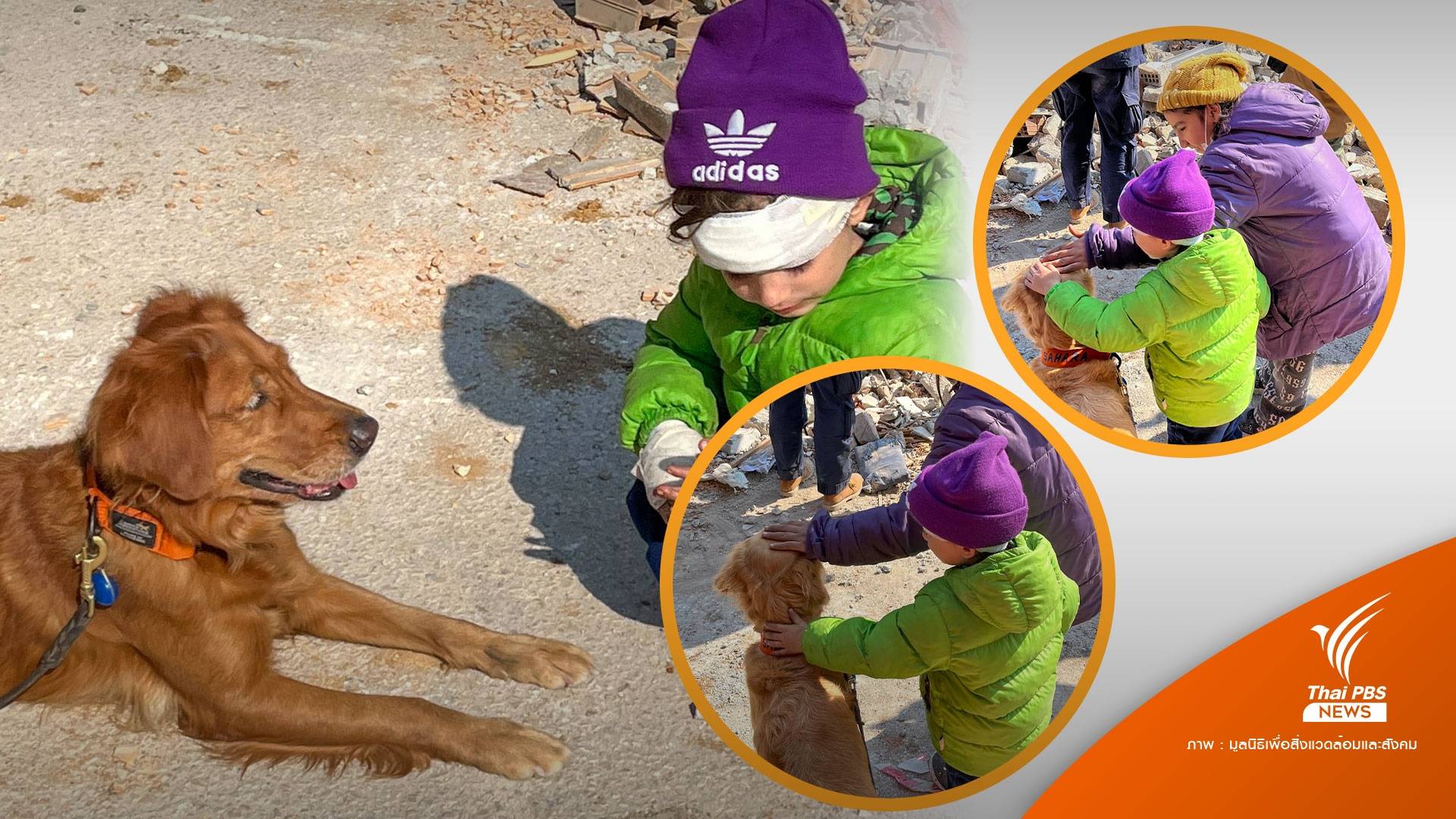 ใจฟู! K9 เซียร่า-ซาฮาร่า ปลอบใจเด็กน้อยตุรกี