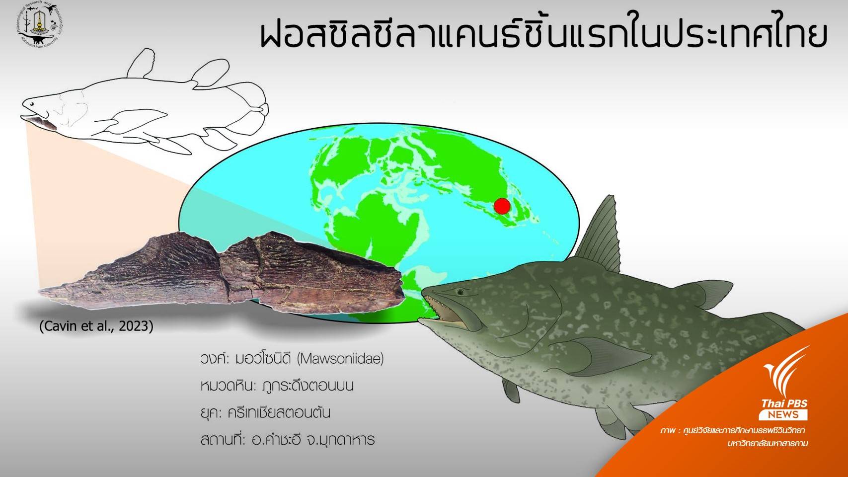 มมส.รายงานการค้นพบ "ฟอสซิลปลาซีลาแคนธ์" ครั้งแรกในไทย
