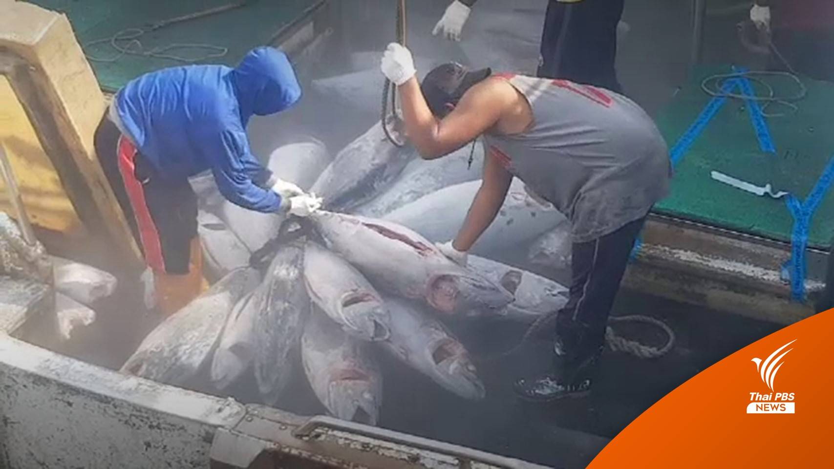 ผลักดัน "ภูเก็ต" เป็น "ทูน่าฮับ" ฟื้นฟูเศรษฐกิจจังหวัด