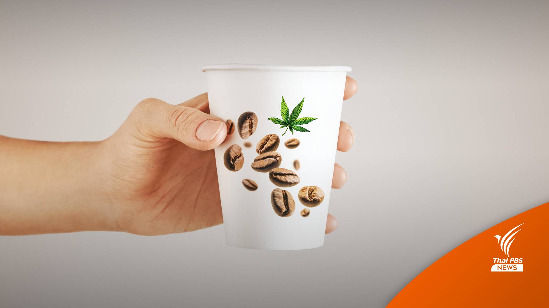 "ตู้กดกาแฟกัญชา" กิจการอันตรายต่อสุขภาพ ต้องขออนุญาตก่อนติดตั้ง