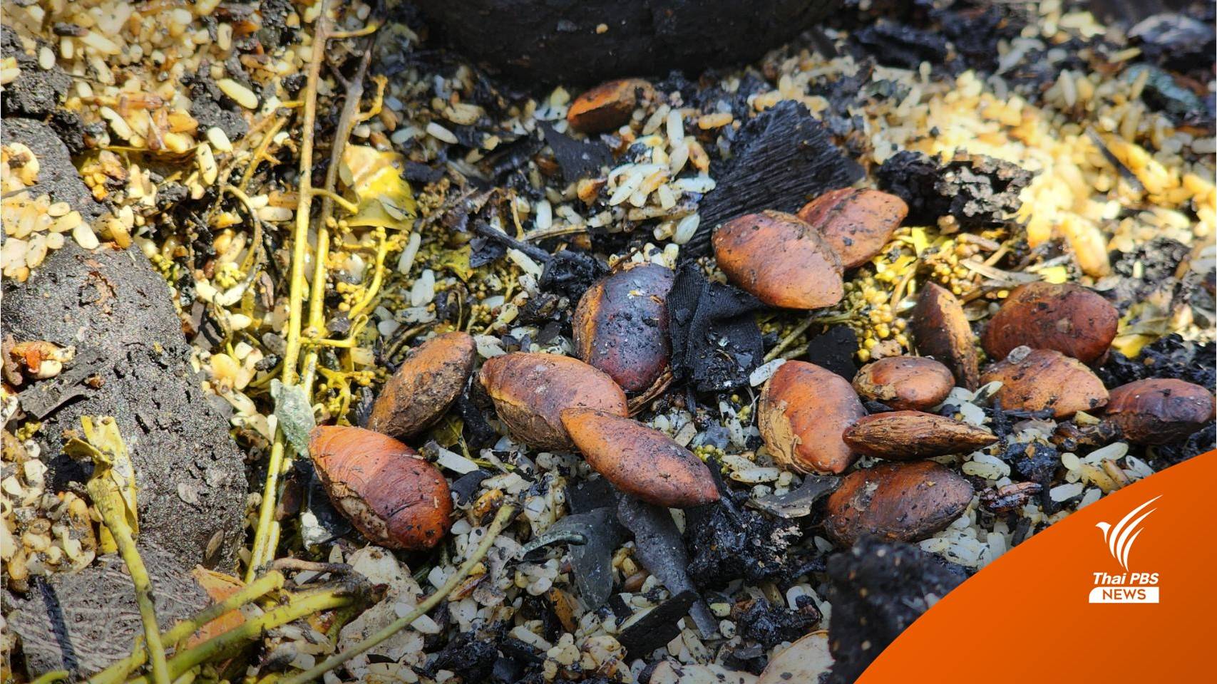 รถตู้ไฟไหม้ : ไม่ใช่แค่อาหารที่ส่งไม่ถึง แต่คือความรักและห่วงใย