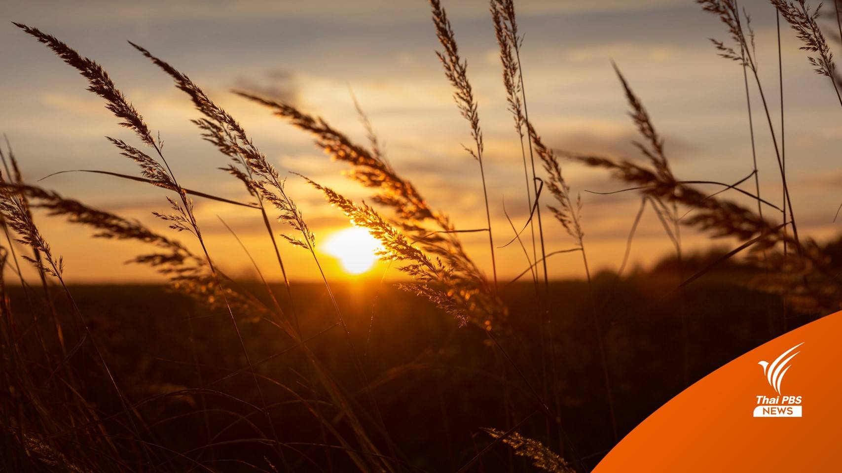 กรมอุตุฯ ประกาศ ฉ.4 ไทยตอนบนอากาศเย็นถึงหนาว - คลื่นลมแรง