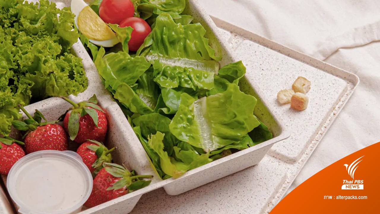 รีไซเคิลขยะอาหาร ให้เป็น "บรรจุภัณฑ์" จากกากธัญพืช ลดโลกร้อน