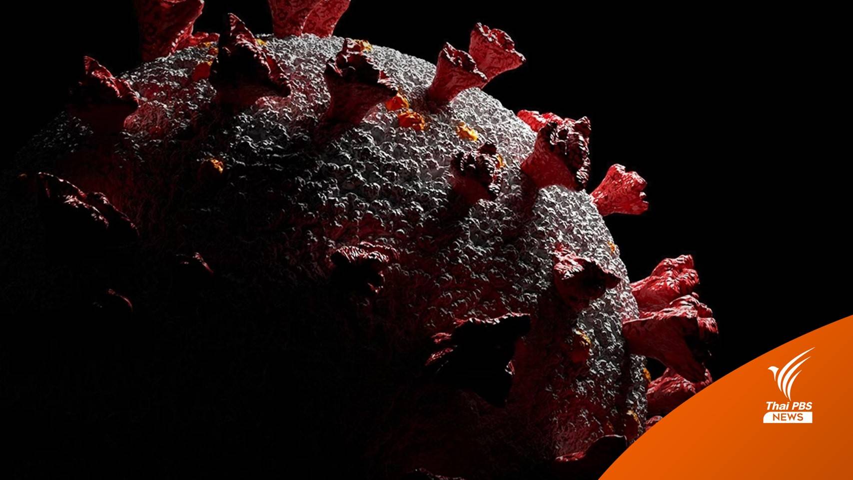 โอมิครอน "XBB.1.5" ดื้อต่อภูมิคุ้มกันมากที่สุด ทั่วโลกพบ 38 ประเทศ