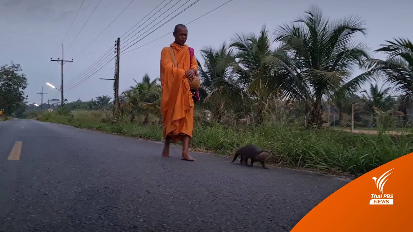 "บุญรอด" นากสายบุญ ลูกศิษย์วัดท่าลาด บิณฑบาตกับหลวงตา