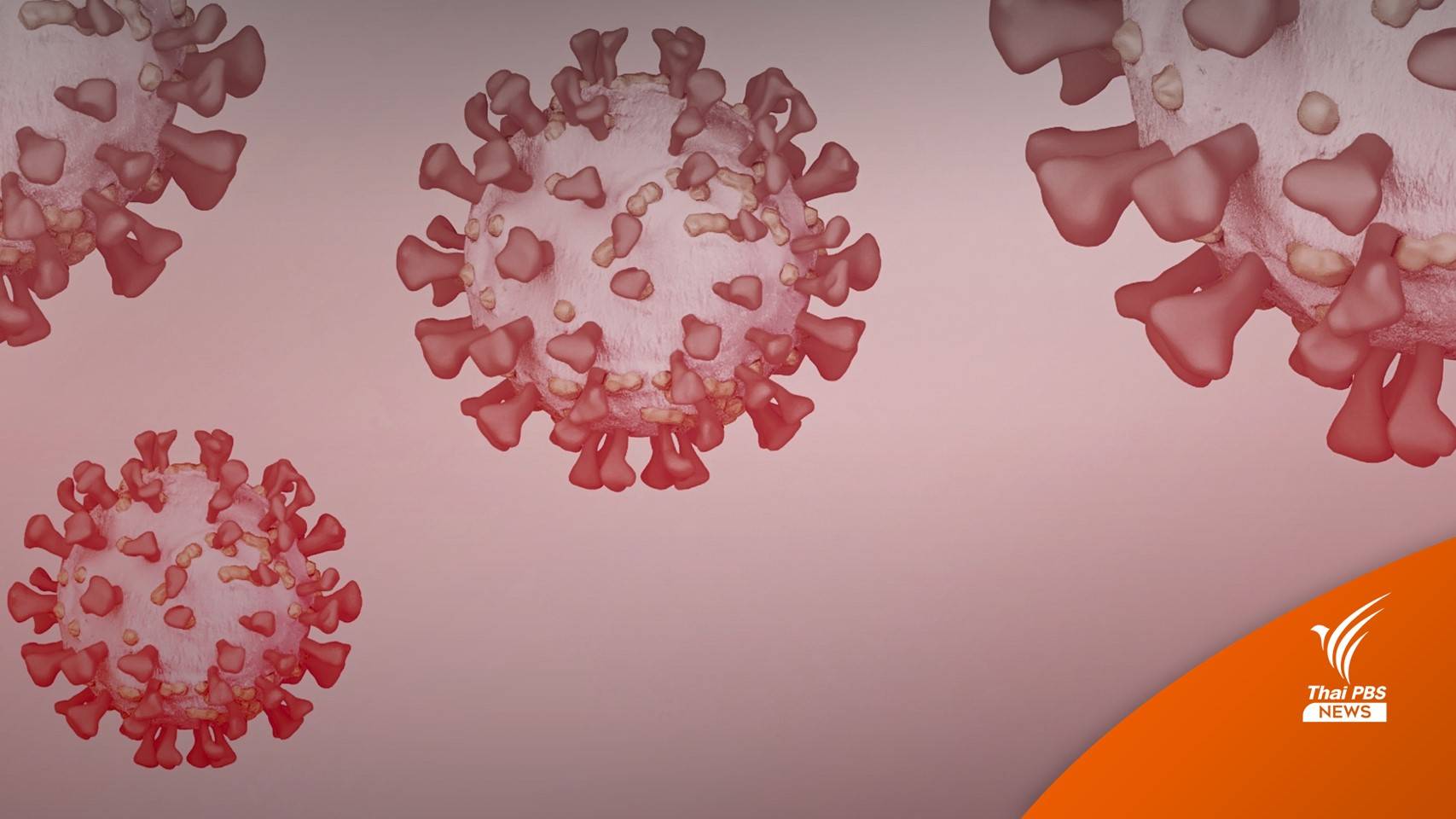 กรม สบส. เผยผลสำรวจพบ 5 พฤติกรรมเสี่ยงติดโควิด ช่วงเทศกาลปีใหม่