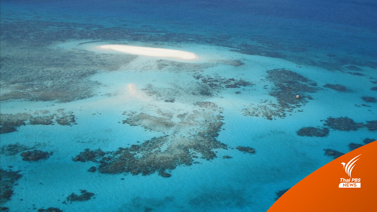 แช่แข็งตัวอ่อนปะการัง ความหวังคืนชีพ "Great Barrier Reef"