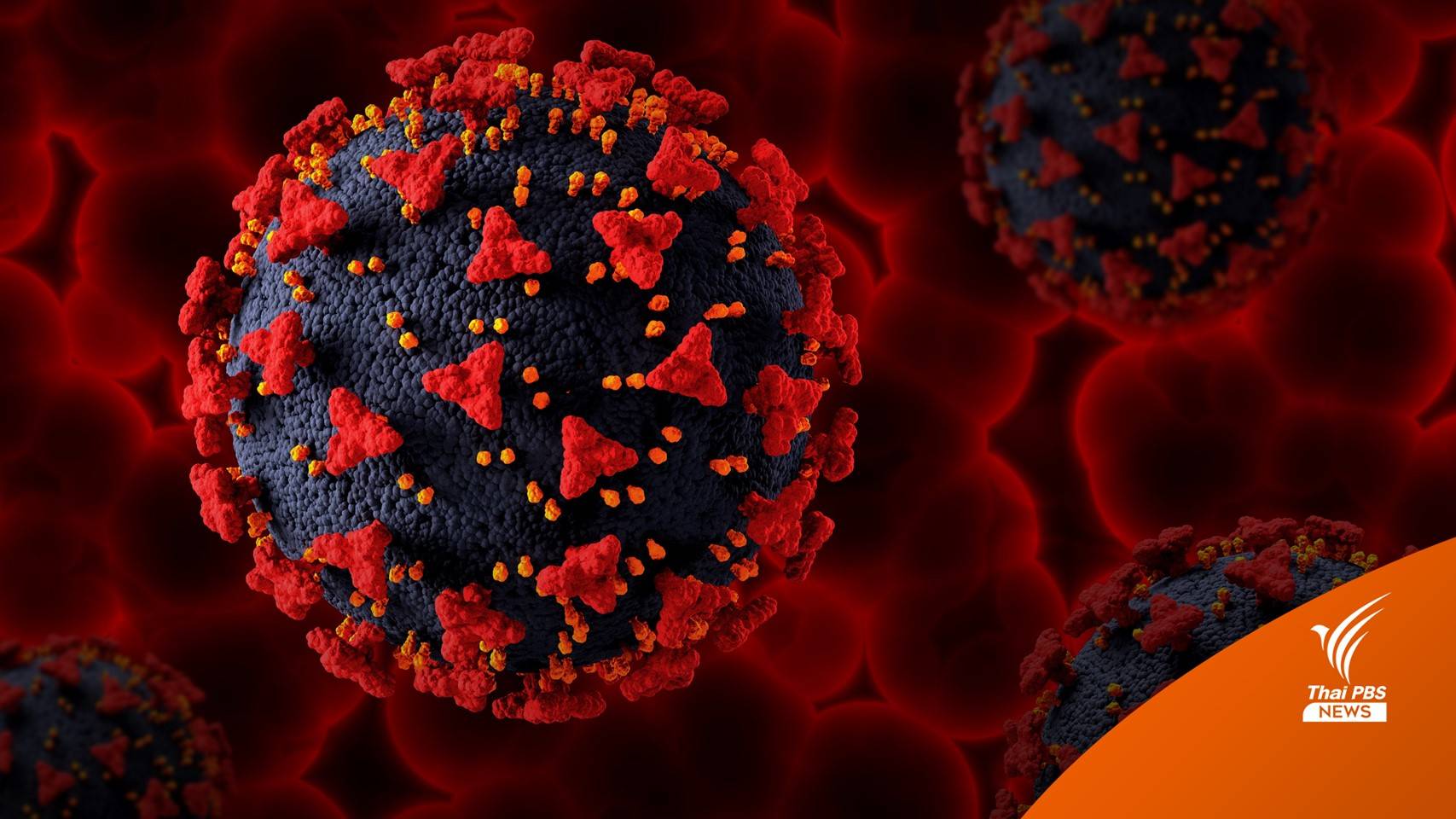 กรมวิทย์ฯ เผยพบโควิดสายพันธุ์ XAY.2 ในไทย 1 คน