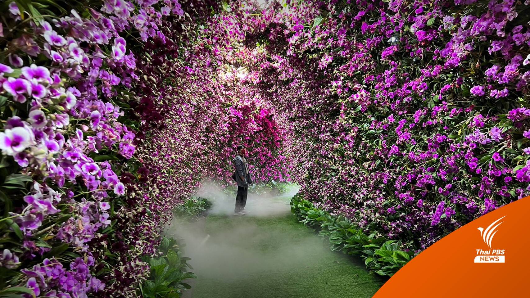 ชมดอกไม้งามนานาพันธุ์ ในงานเชียงรายดอกไม้งาม