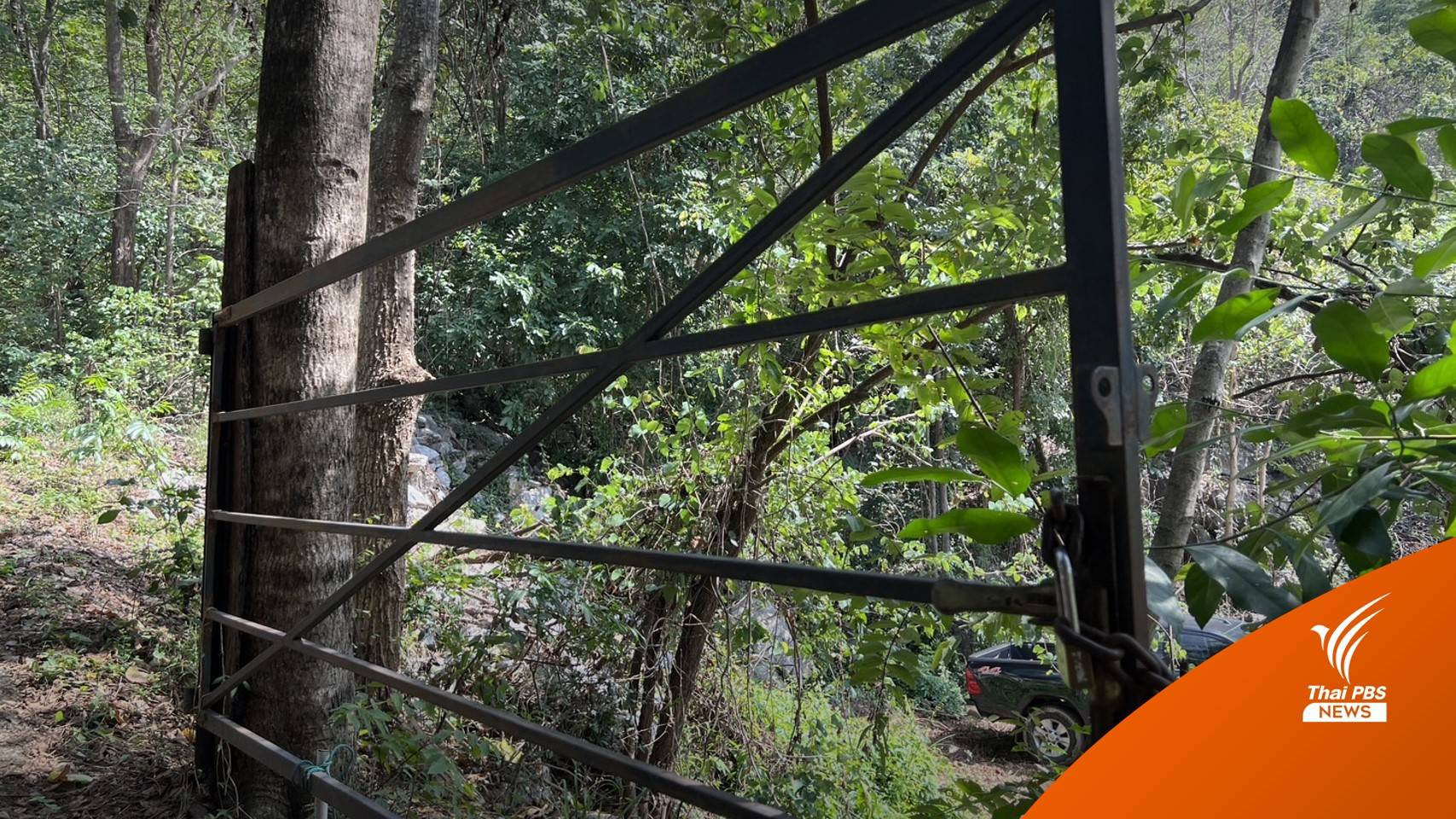 ที่ดิน "แอ๊ด คาราบาว" อยู่นอกเขตป่าสงวน-ยกเว้นแค่ประตูรั้วเหล็ก