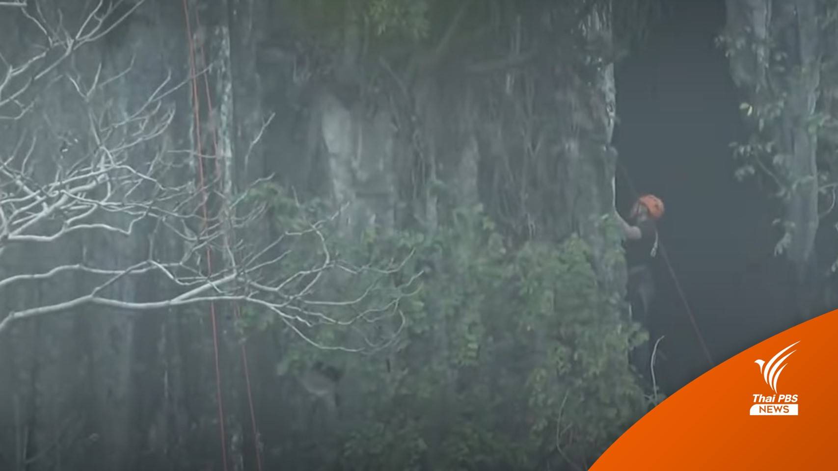 พบจุดปีนผาใกล้ที่ดิน "แอ๊ด คาราบาว" กรมที่ดิน ตรวจนส.3 ก ครบ