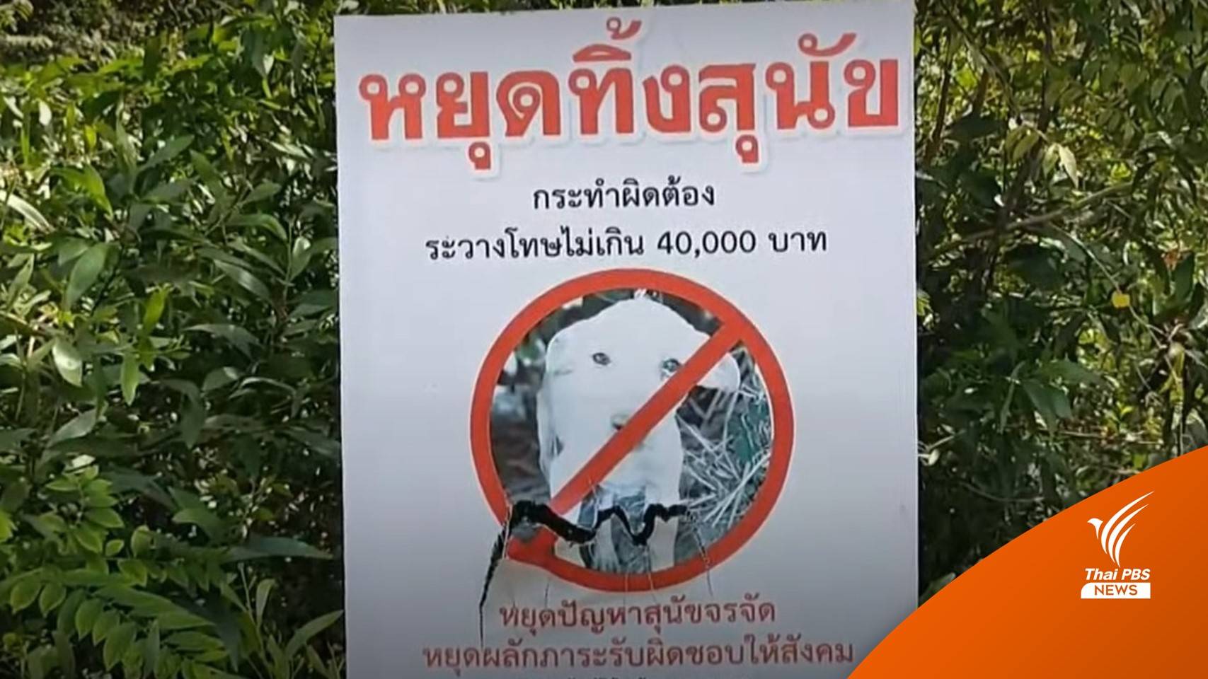 จิตอาสา-เทศบาล วอน ปชช.สตูล ลดปัญหาทิ้งหมาแมว