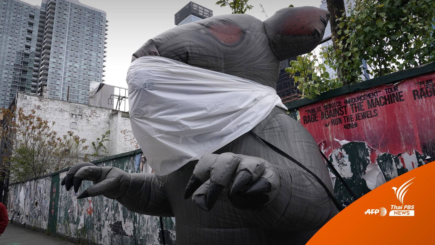 "งานด่วน" นิวยอร์กเฟ้นหา "มือปราบหนู"