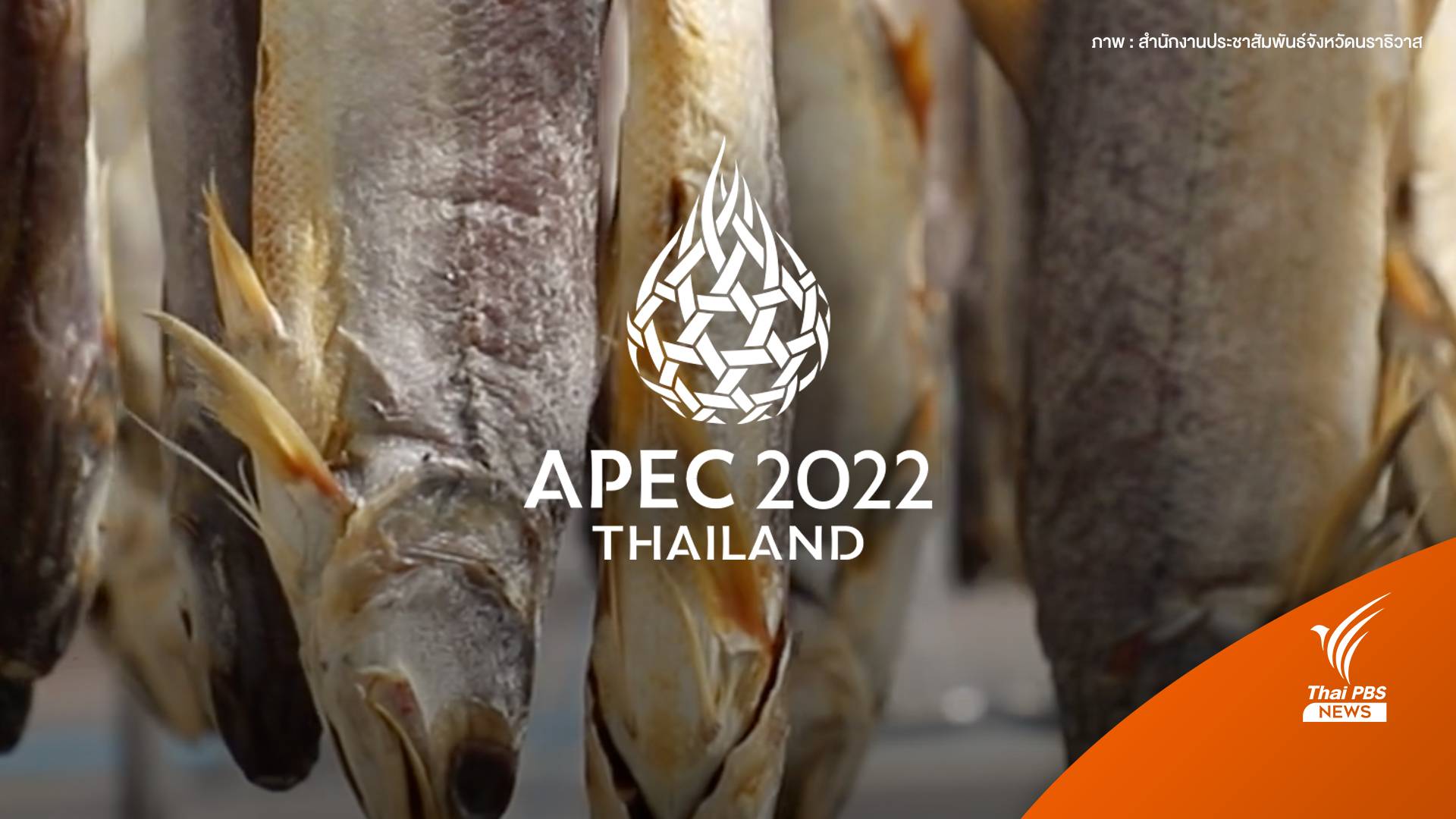 Soft Power “ปลากุเลาจากตากใบ” ในเวทีเอเปค 2022