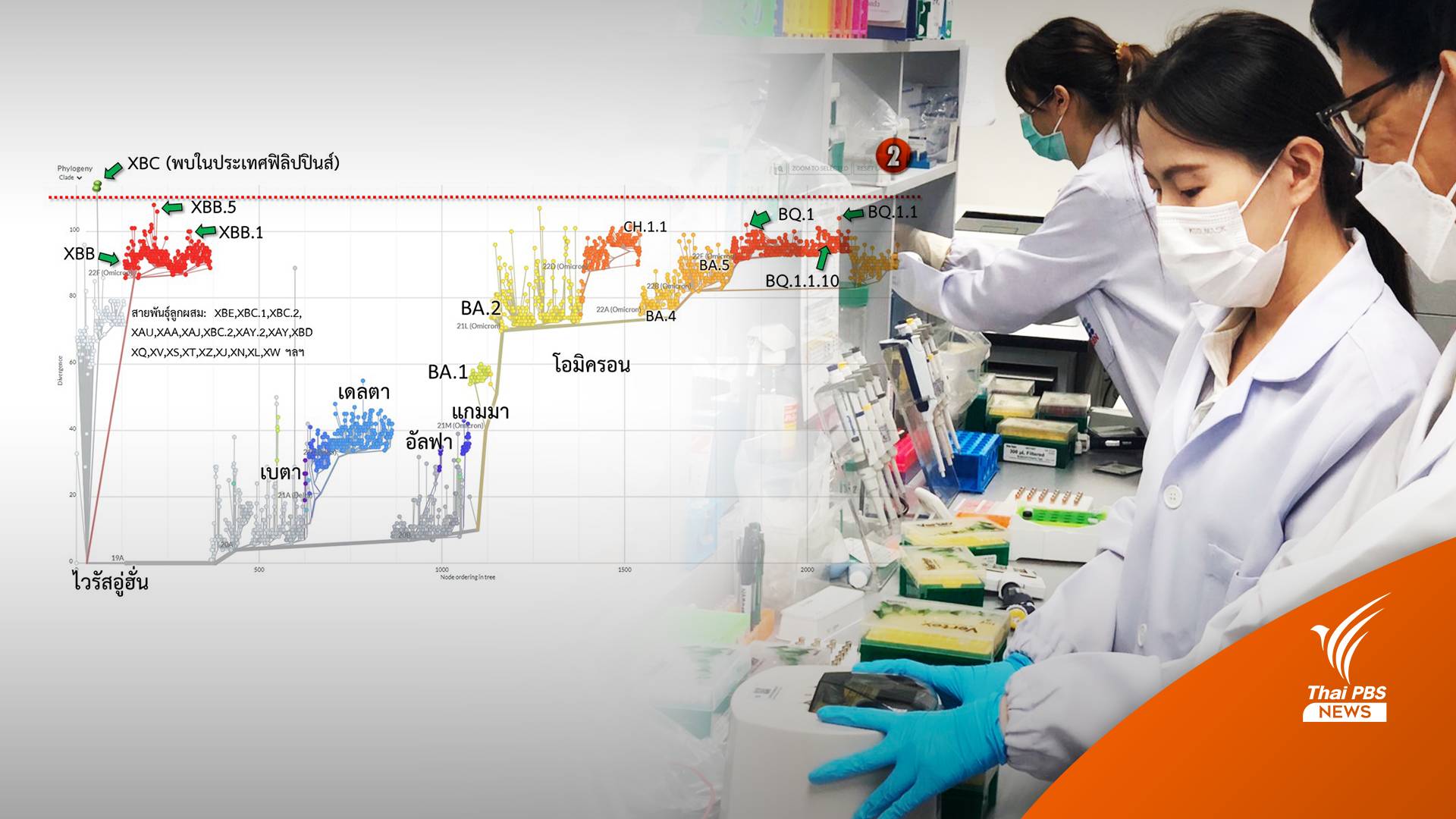 เตือนโควิดกลายพันธุ์ “เดลตาครอน XBC” โจมตีปอดแพร่เชื้อเร็ว