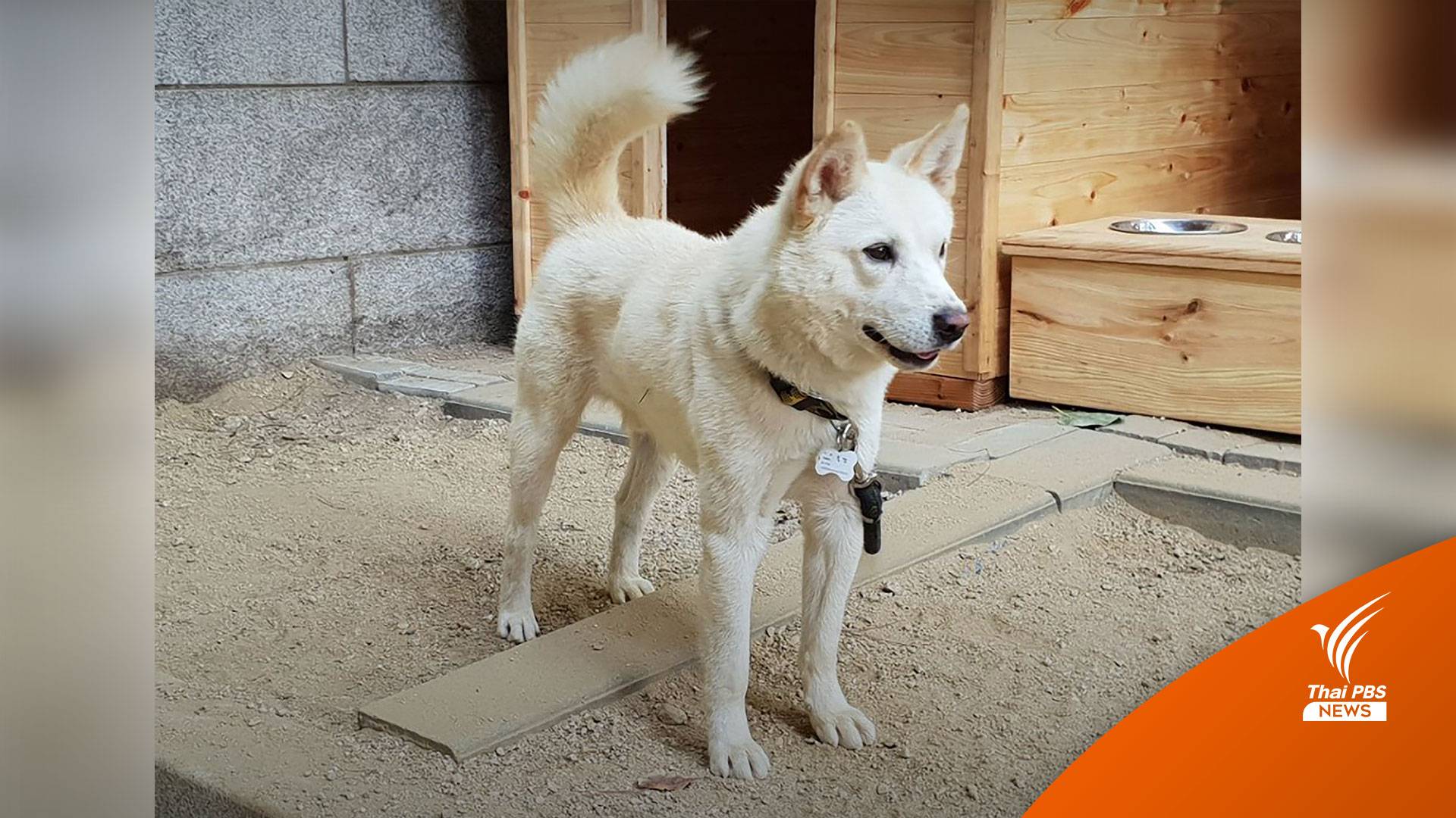 อดีต ปธน.เกาหลีใต้ จ่อเลิกเลี้ยง "สุนัข" จากคึมจองอึน