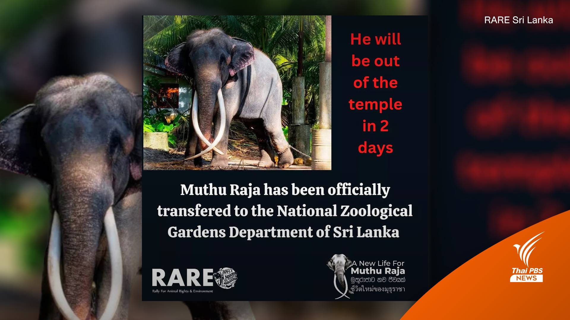 ทวงคืน "พลายศักดิ์สุรินทร์" จากศรีลังกากลับไทย