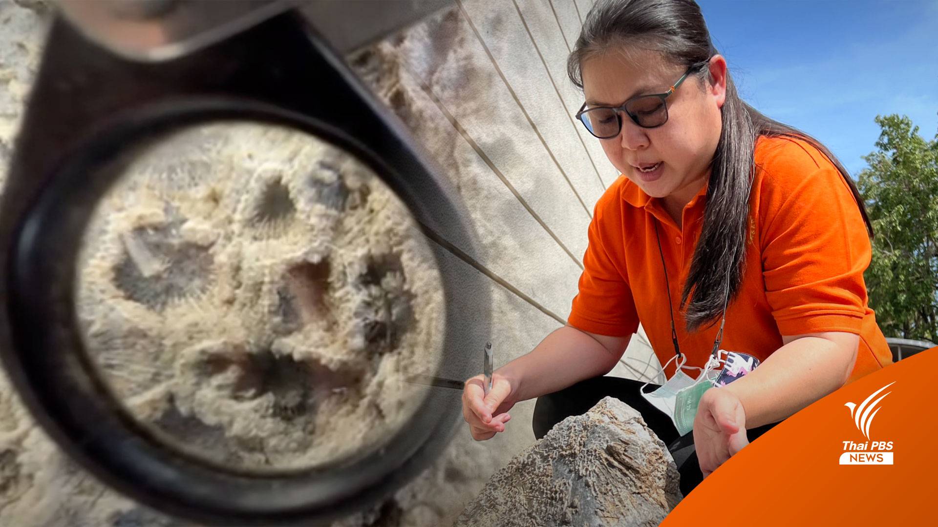 ขุดอดีต “หอย-หิน” สู่อาชีพนักธรณี