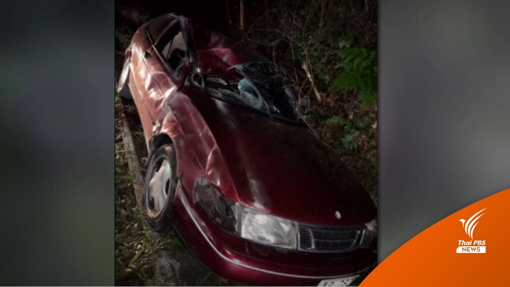 รถเก๋งชนช้างป่าเขาใหญ่ คนขับเจ็บ-ยังไม่พบช้าง