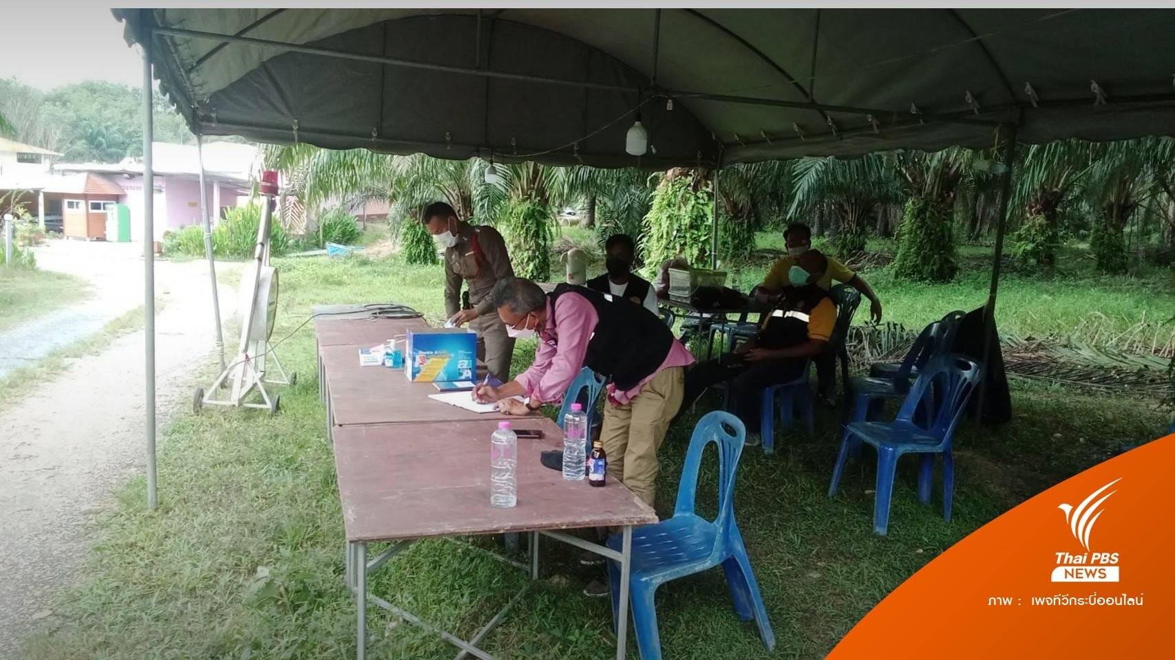 พบอาการคล้าย "ไข้กาฬหลังแอ่น" ระบาดกระบี่ ติดเชื้อ 6 ตาย 1