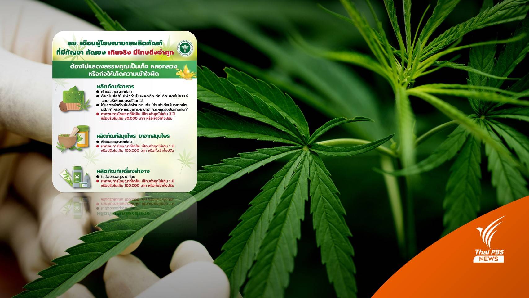 โฆษณาขายผลิตภัณฑ์ที่มี "กัญชา-กัญชง" เกินจริง โทษถึงจำคุก