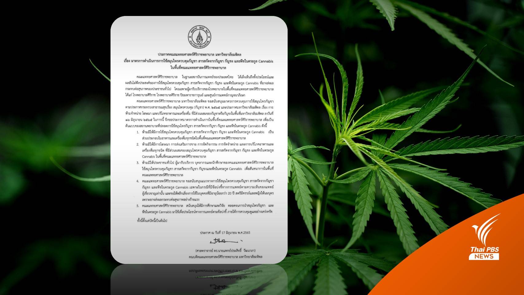 "ศิริราช" ออกประกาศคุมเข้มใช้กัญชาพื้นที่โรงพยาบาล