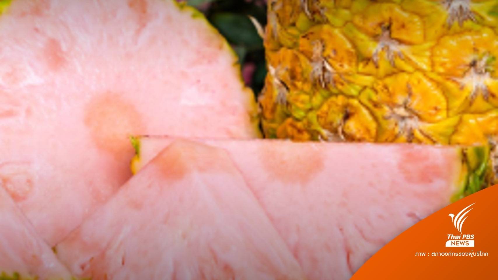 ต้องรู้! "สับปะรดสีชมพู GMO" ปลูก-ขาย-ครอบครองผิดกฎหมาย