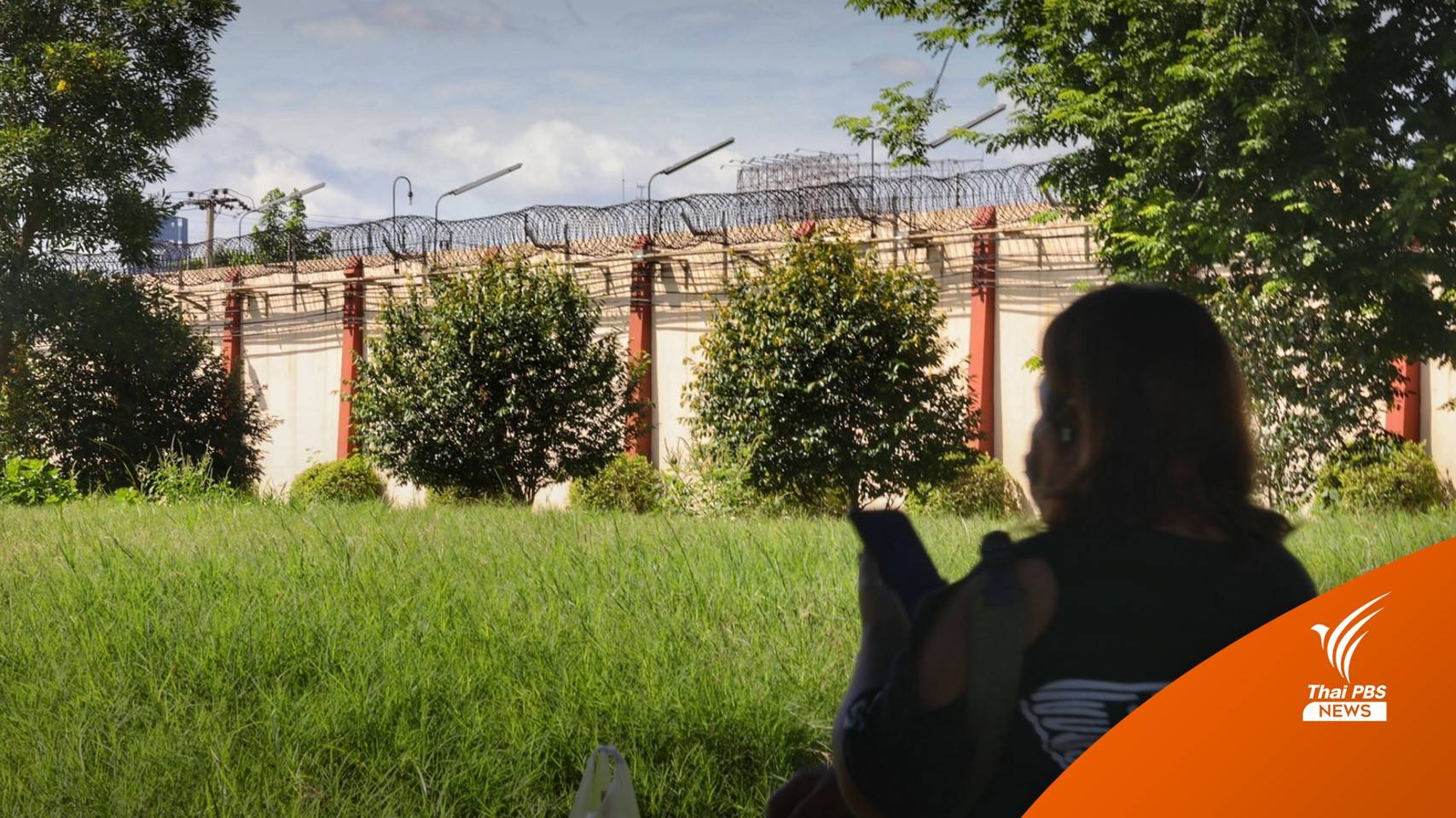 ปลดล็อกกัญชาเสรี ปล่อยตัว "ผู้ต้องหา-ผู้ต้องขัง" คืนสู่อิสรภาพ