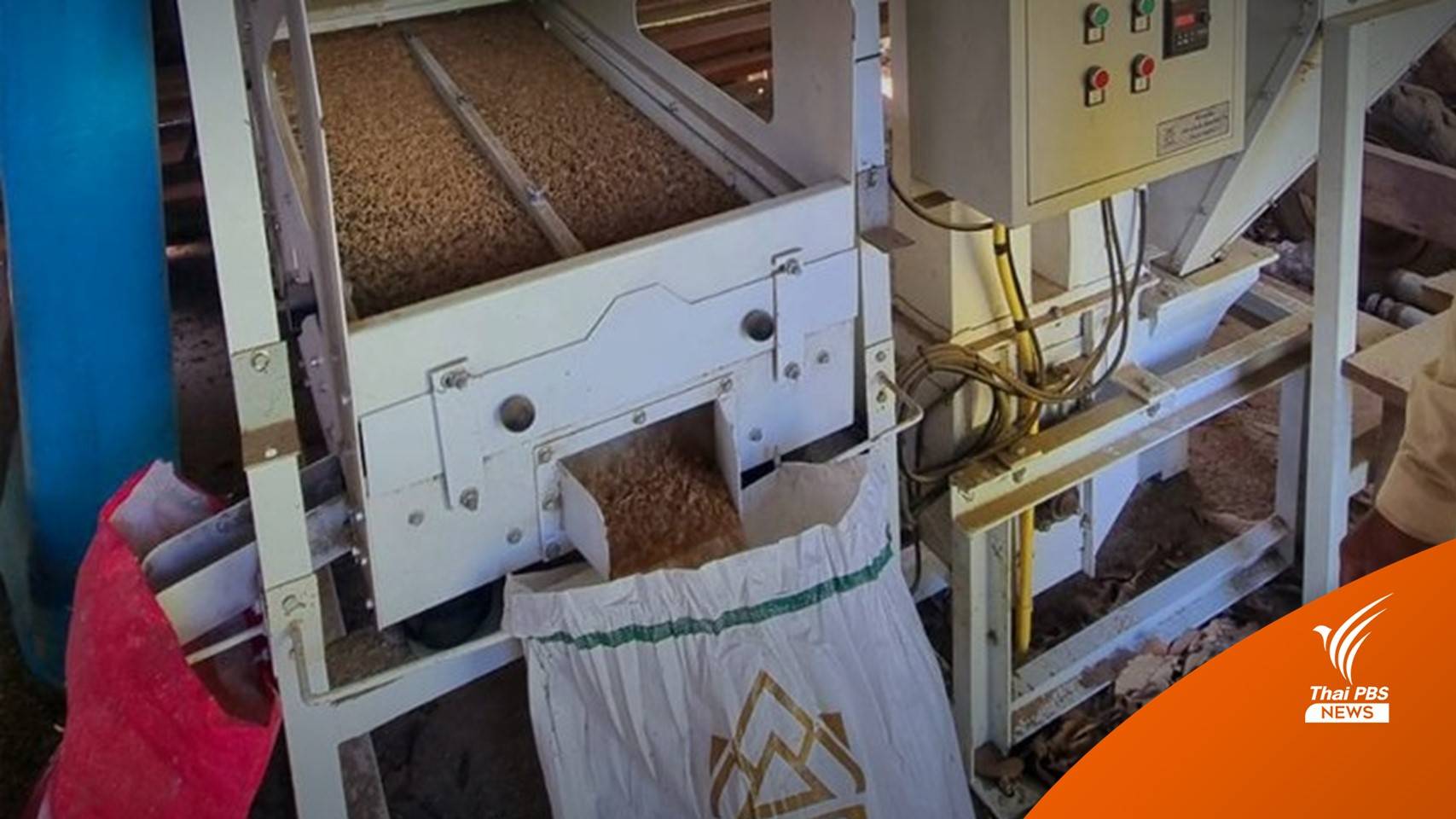 รายงานพิเศษ : เครื่องคัดและทำความสะอาดเมล็ดพันธุ์ข้าวก็ทุจริตได้