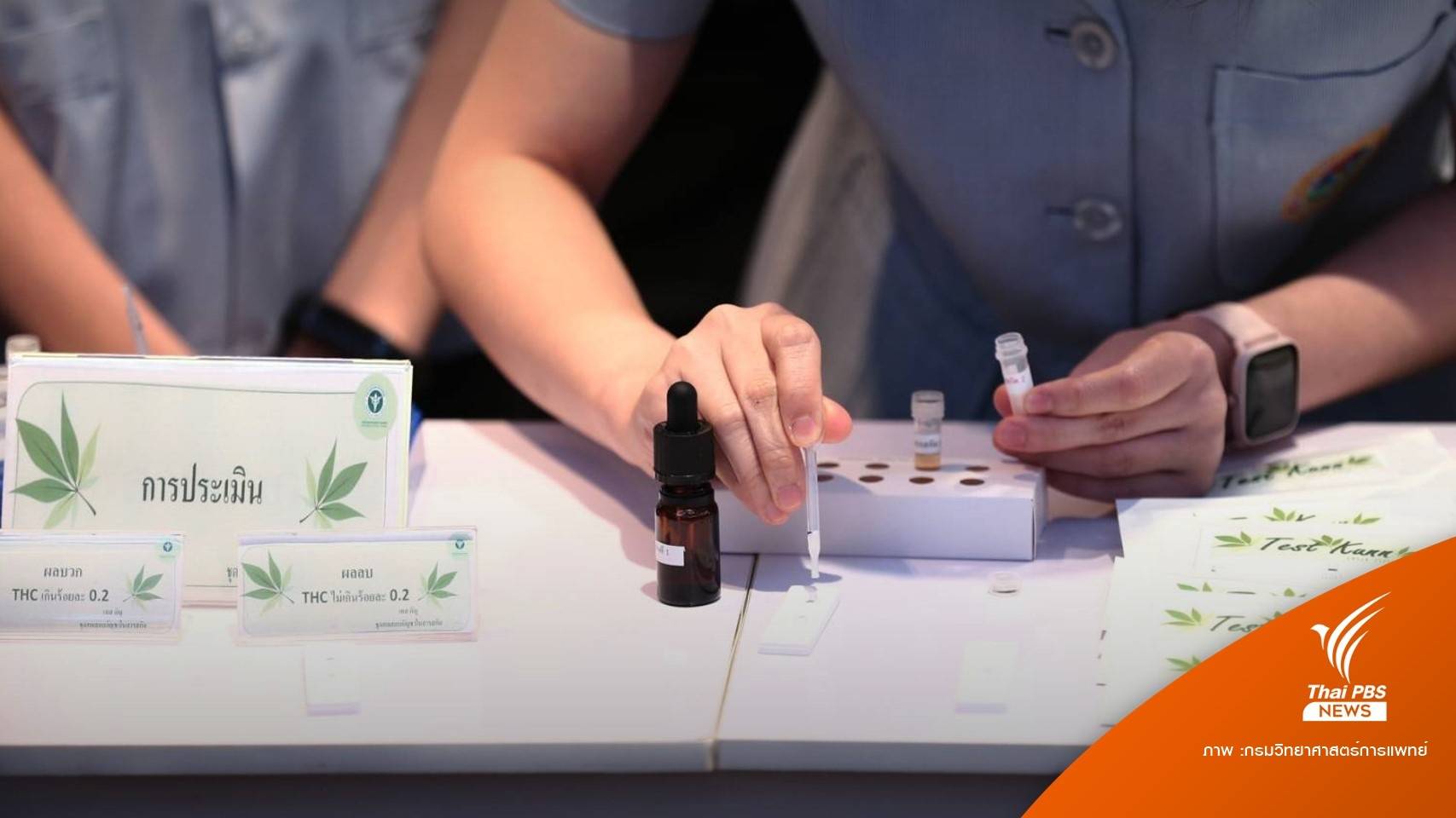 สำเร็จ! กรมวิทย์ฯ พัฒนาชุดตรวจกัญชา “Test Kann รู้ผล 15 นาที