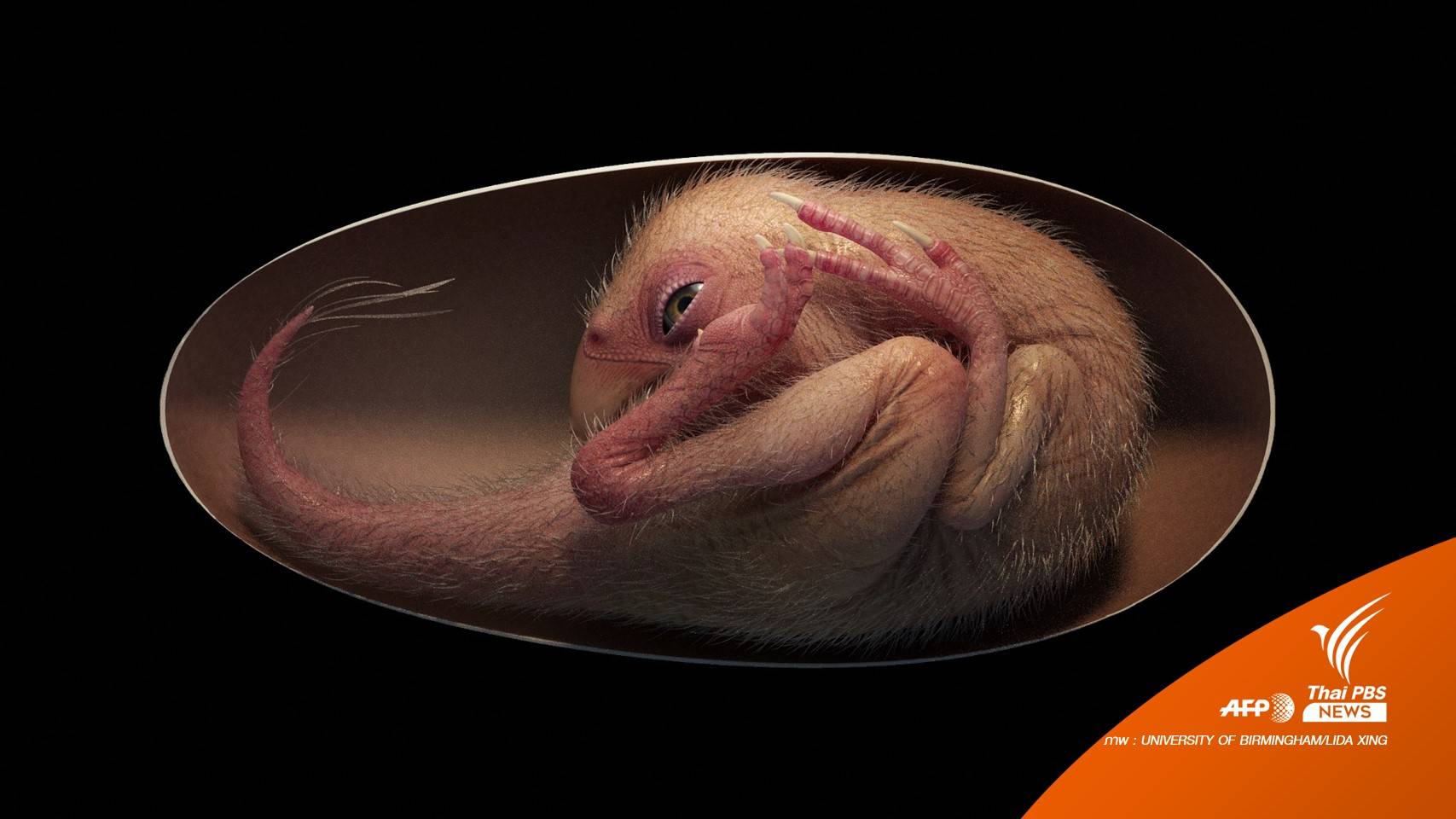 นักวิจัยจีนพบ "ฟอสซิลตัวอ่อน" ในไข่ไดโนเสาร์ คาดอายุ 66 ล้านปี