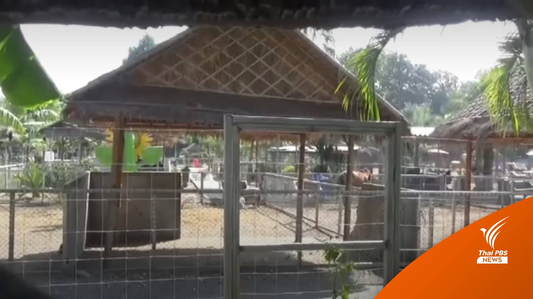 ร้องเรียนสื่อกรณีเพื่อนบ้าน "เปิดสวนสัตว์" รบกวน
