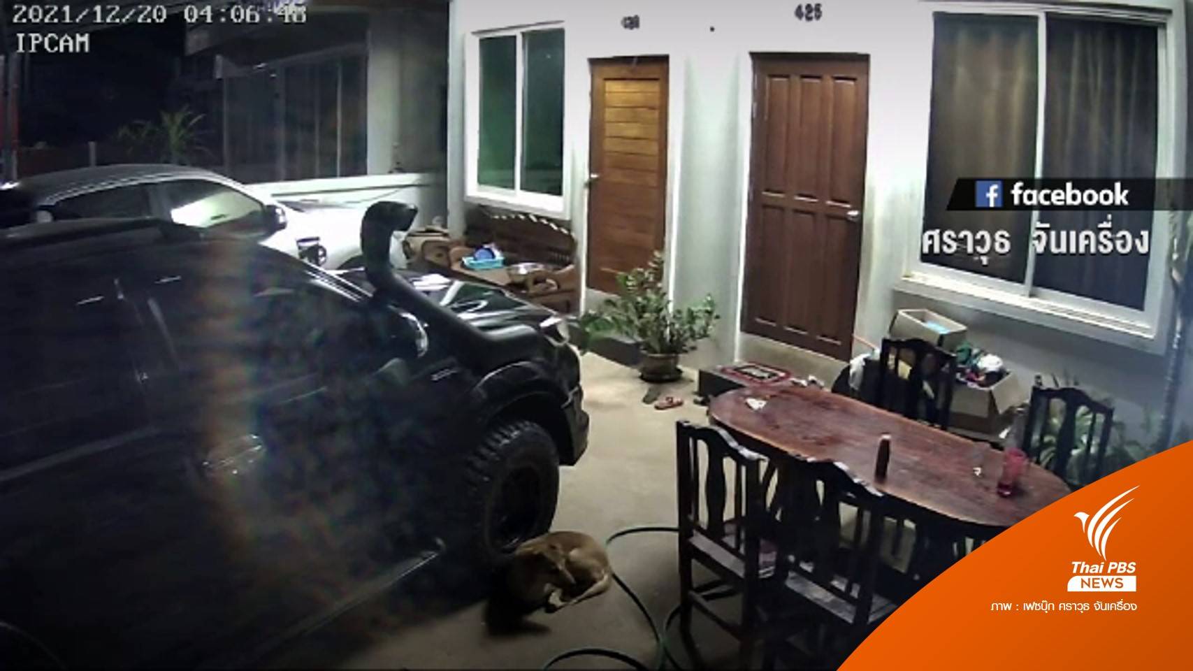 นาที "แผ่นดินไหว" จากลาวสะเทือนถึงน่าน