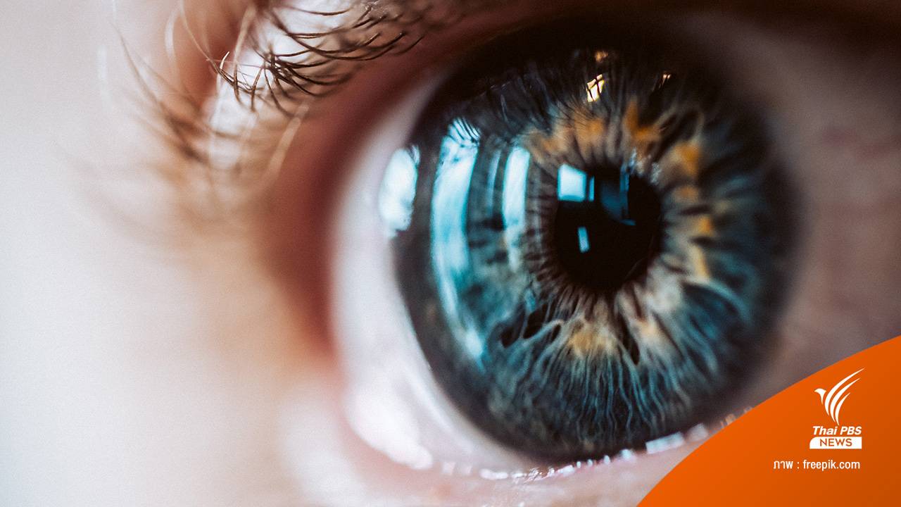 ตาเทียมจากเครื่องพิมพ์ 3 มิติ เปลี่ยนถ่ายสำเร็จครั้งแรกของโลก