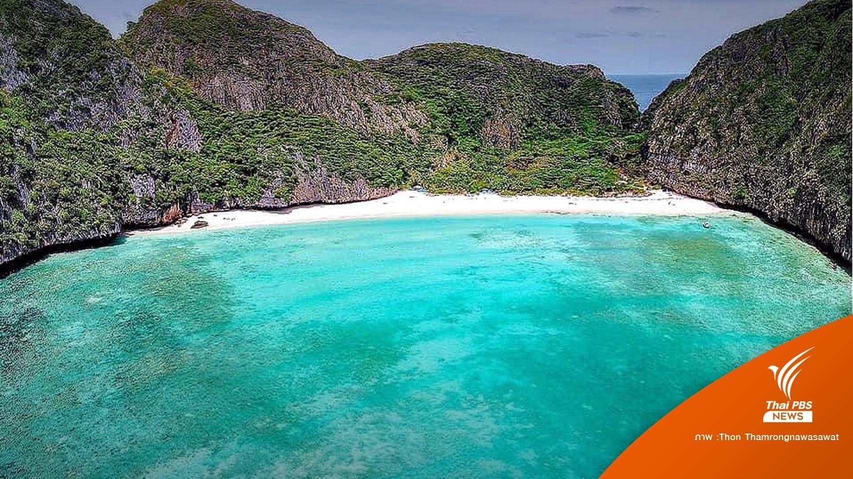 เปิด "อ่าวมาหยา" ห้ามเล่นน้ำรบกวนฉลามหูดำจำกัดรอบละ 375 คน