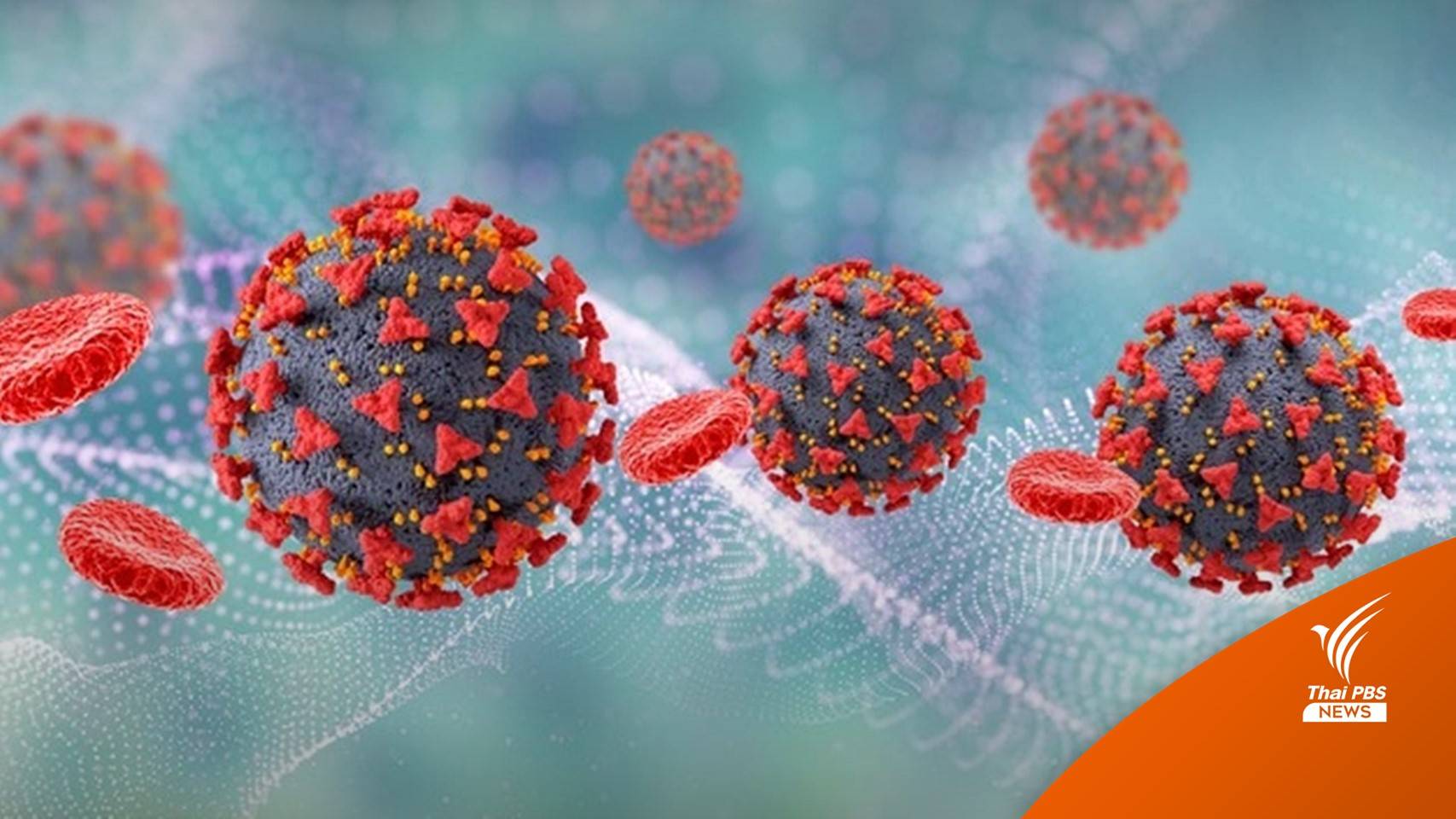 นักวิจัยชี้ "โอมิครอน" กลายพันธุ์อาจมีต้นตอจากเชื้อหวัด