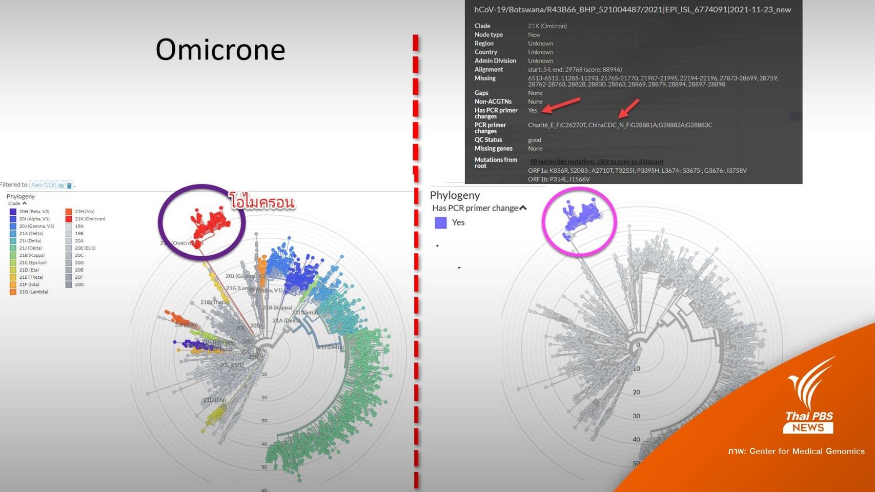 ศูนย์จีโนม เตือน PCR ไม่จับไวรัสกลายพันธุ์ "โอมิครอน"