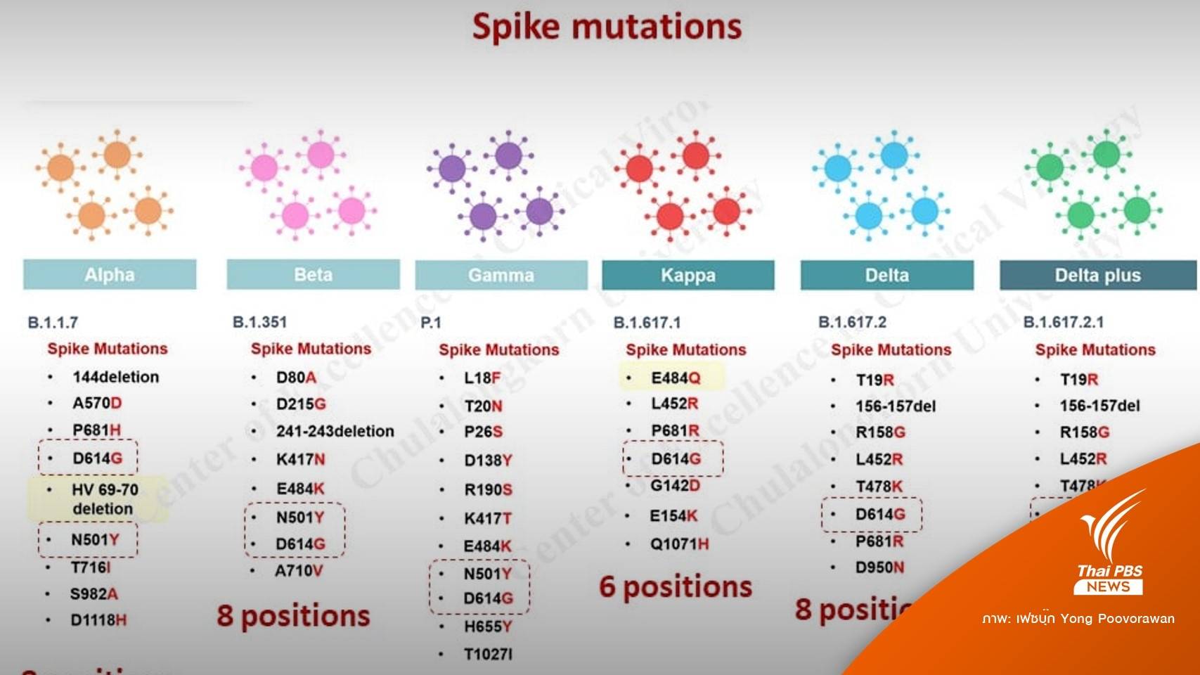 "หมอยง" เฉลย 10 ข้อต้องรู้จักไวรัสกลายพันธุ์ "โอมิครอน"