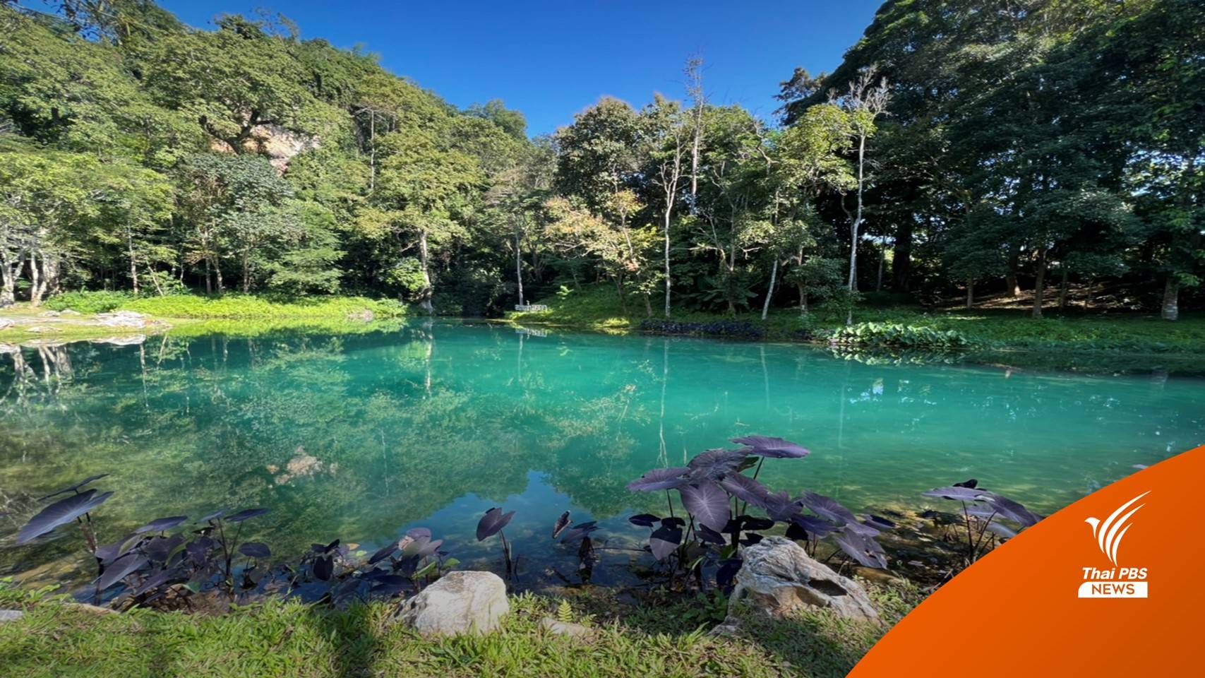 เลือกตั้ง อบต.โป่งผา กับแผนพัฒนา "ถ้ำหลวง" จ.เชียงราย