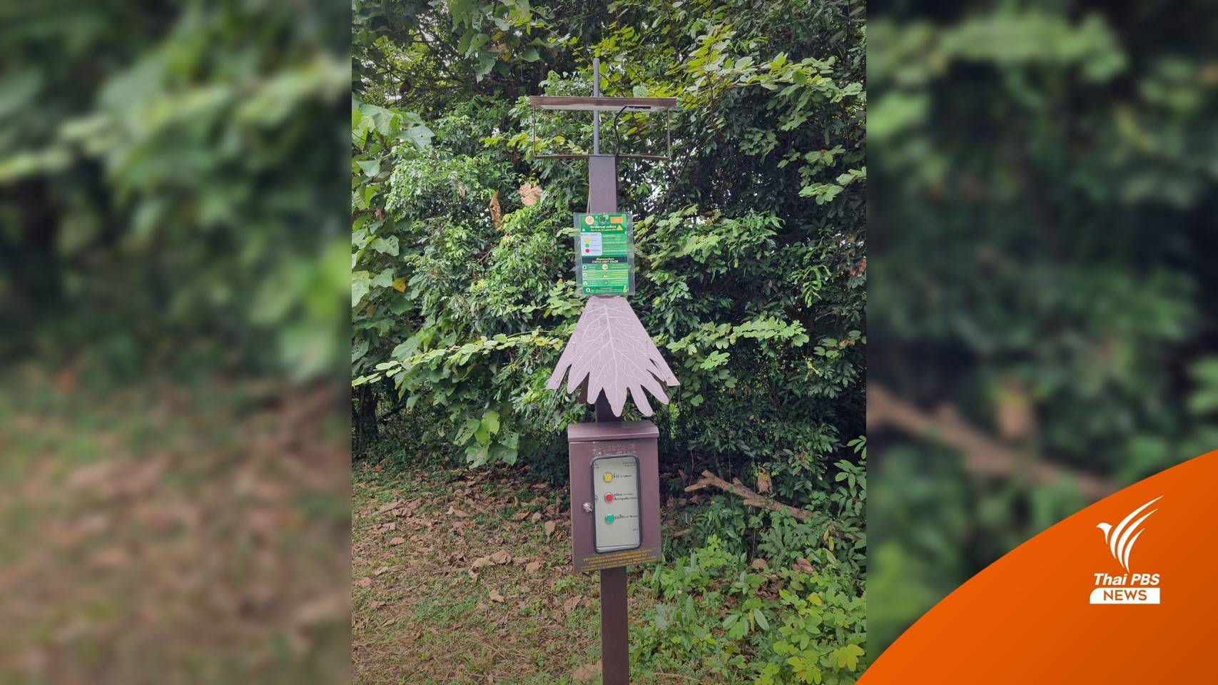 "เขาใหญ่" ตั้งเสาสัญญาณขอความช่วยเหลือพบ "ช้างป่า-รถเสีย"