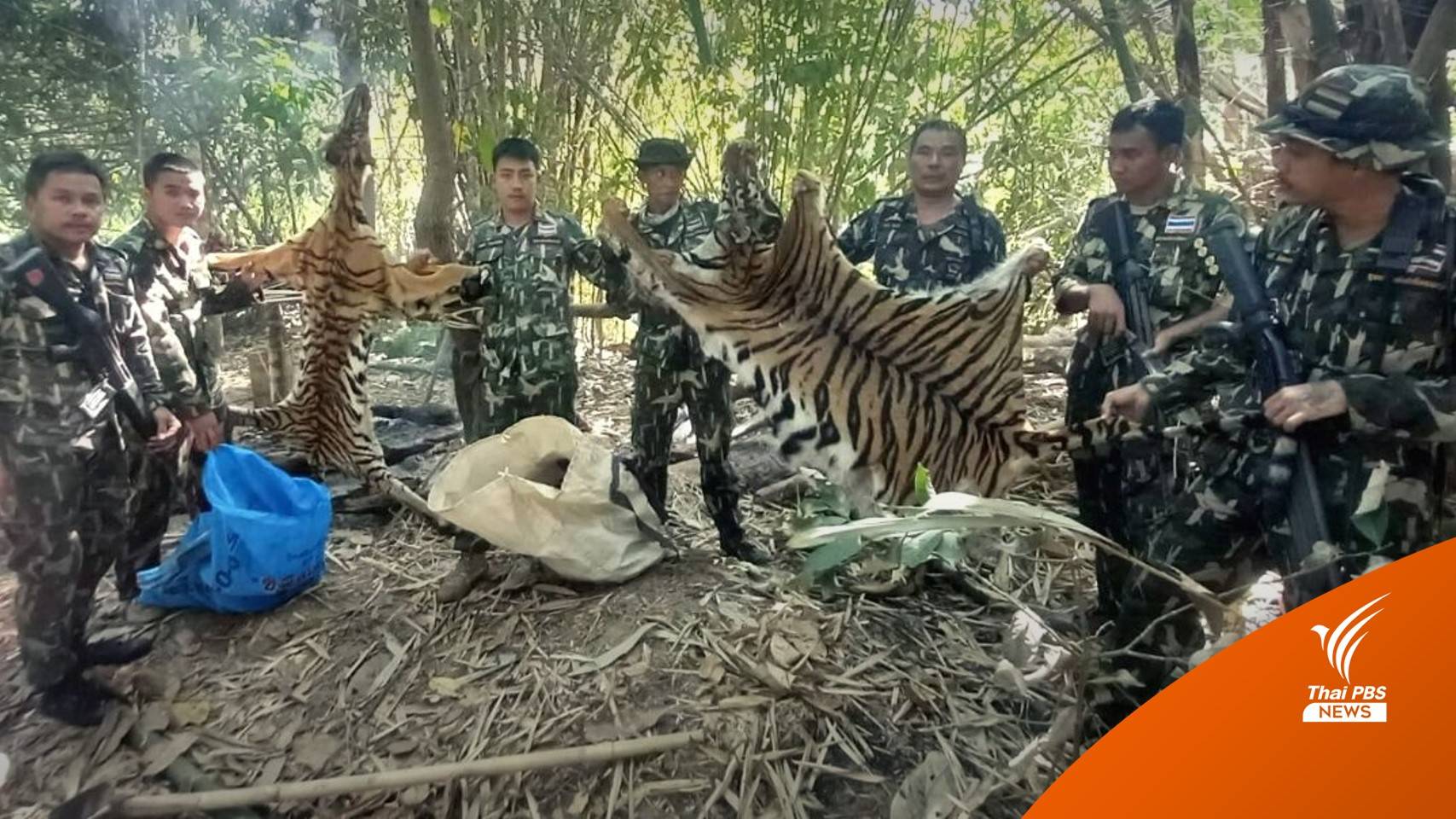 ส่งมอบตัวกับตำรวจ 4 คนสงสัย "ล่าเสือโคร่ง" ป่าทองผาภูมิ