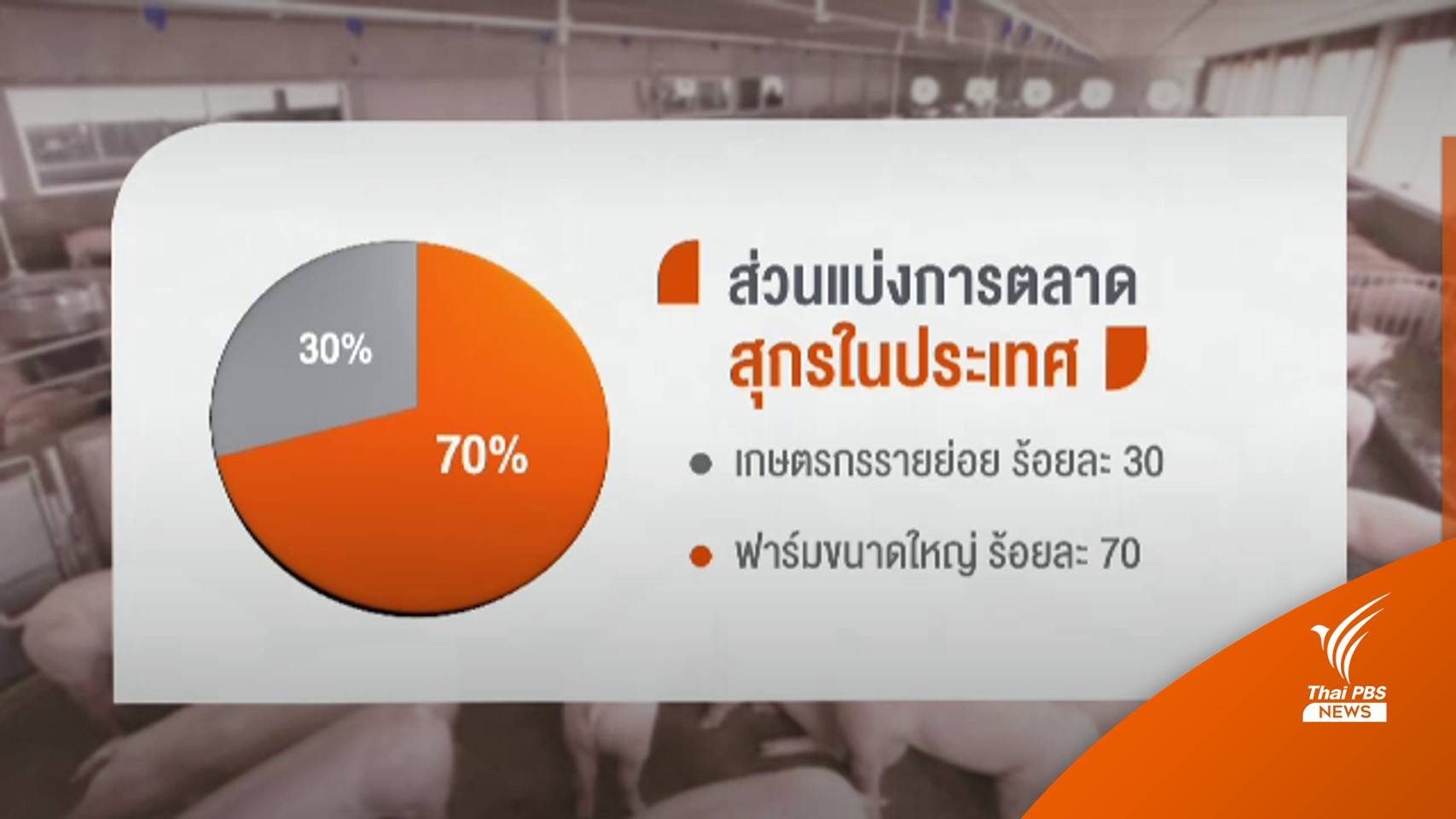 วิกฤตหมู! ผู้ผลิตรายใหญ่ ได้ส่วนแบ่งการตลาดเพิ่ม นาน 6 เดือน