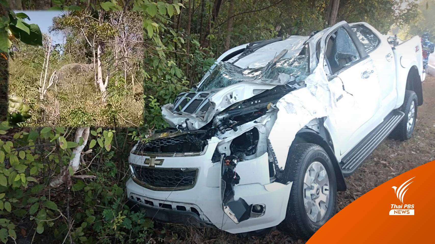 เร่งติดตาม “ช้างป่าสลักพระ” ถูกรถกระบะพุ่งชนขาหัก