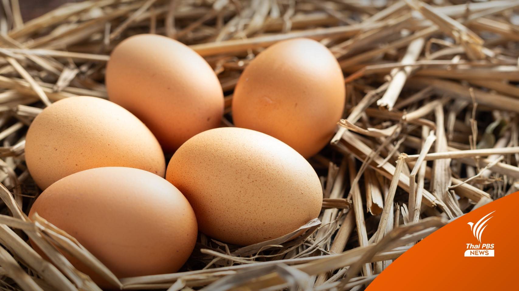 ไม่ตรึง "ราคาไข่" กก.สมาคมฯ ชี้ต้นทุนเพิ่ม รู้ผลขึ้นราคา 13 ม.ค.