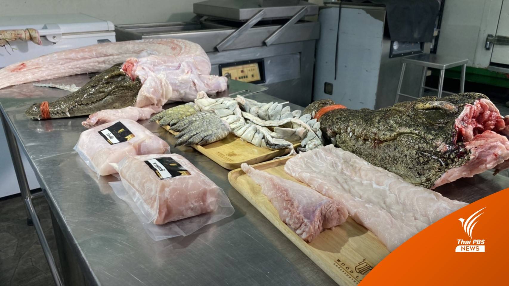 เทรนด์ใหม่! กินเนื้อจระเข้ ราคา 100-240 บ. หลังหมูแพง ไก่ขึ้นราคา