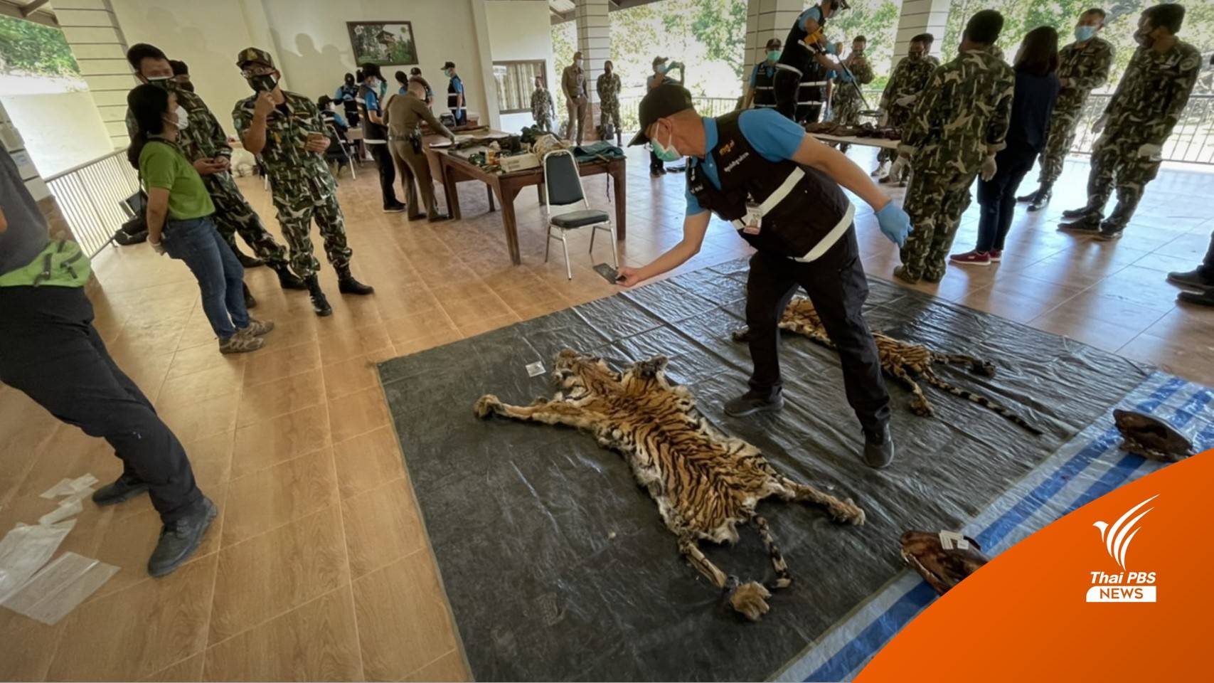 “วราวุธ” จี้เอาผิดถึงที่สุด 4 ชาวบ้าน “ล่าเสือโคร่ง" ป่าทองผาภูมิ