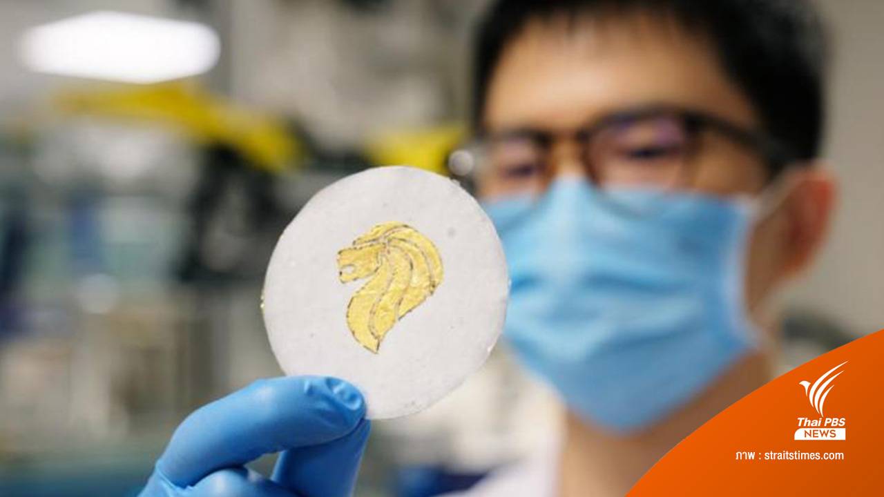 NTU พัฒนา "แบตเตอรี่กระดาษ" ย่อยสลายได้หลังใช้งาน ลดขยะอิเล็กทรอนิกส์