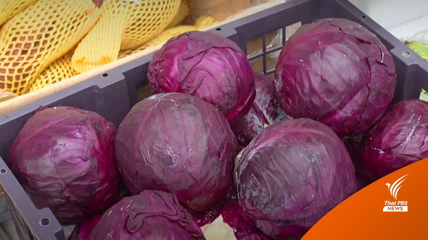 "ผักจีน" ต้นทุนการผลิตต่ำ จูงใจผู้บริโภค