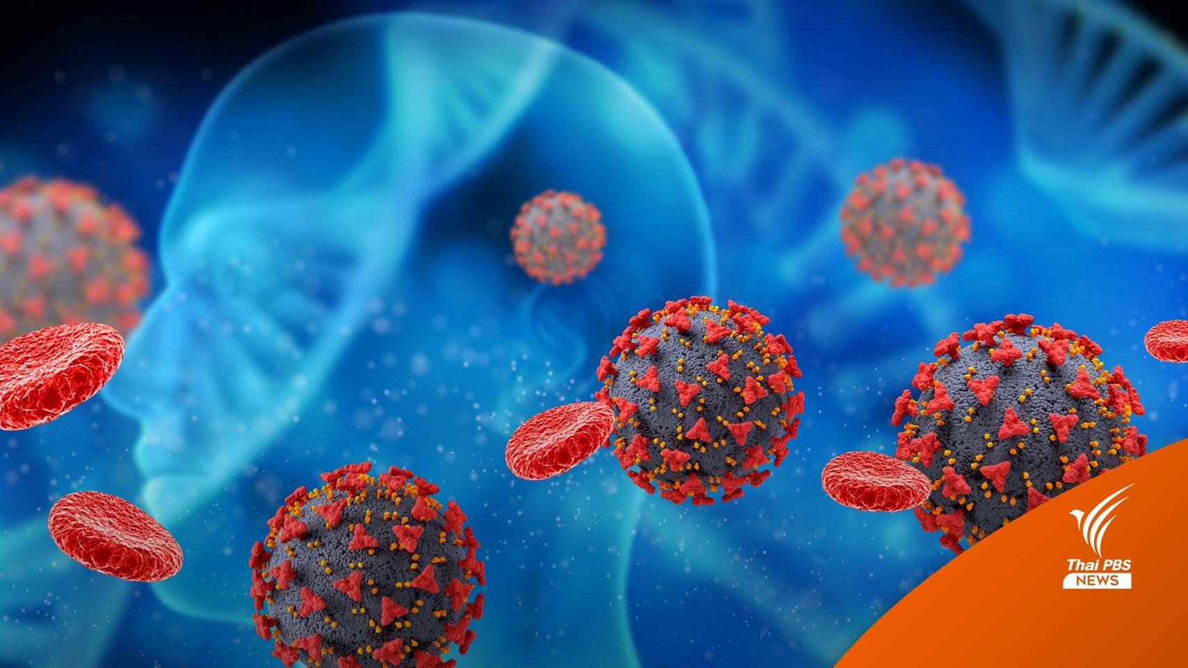 รพ.ในนครซิดนีย์ แจ้งผลตรวจโควิดผิดพลาด 400 คน