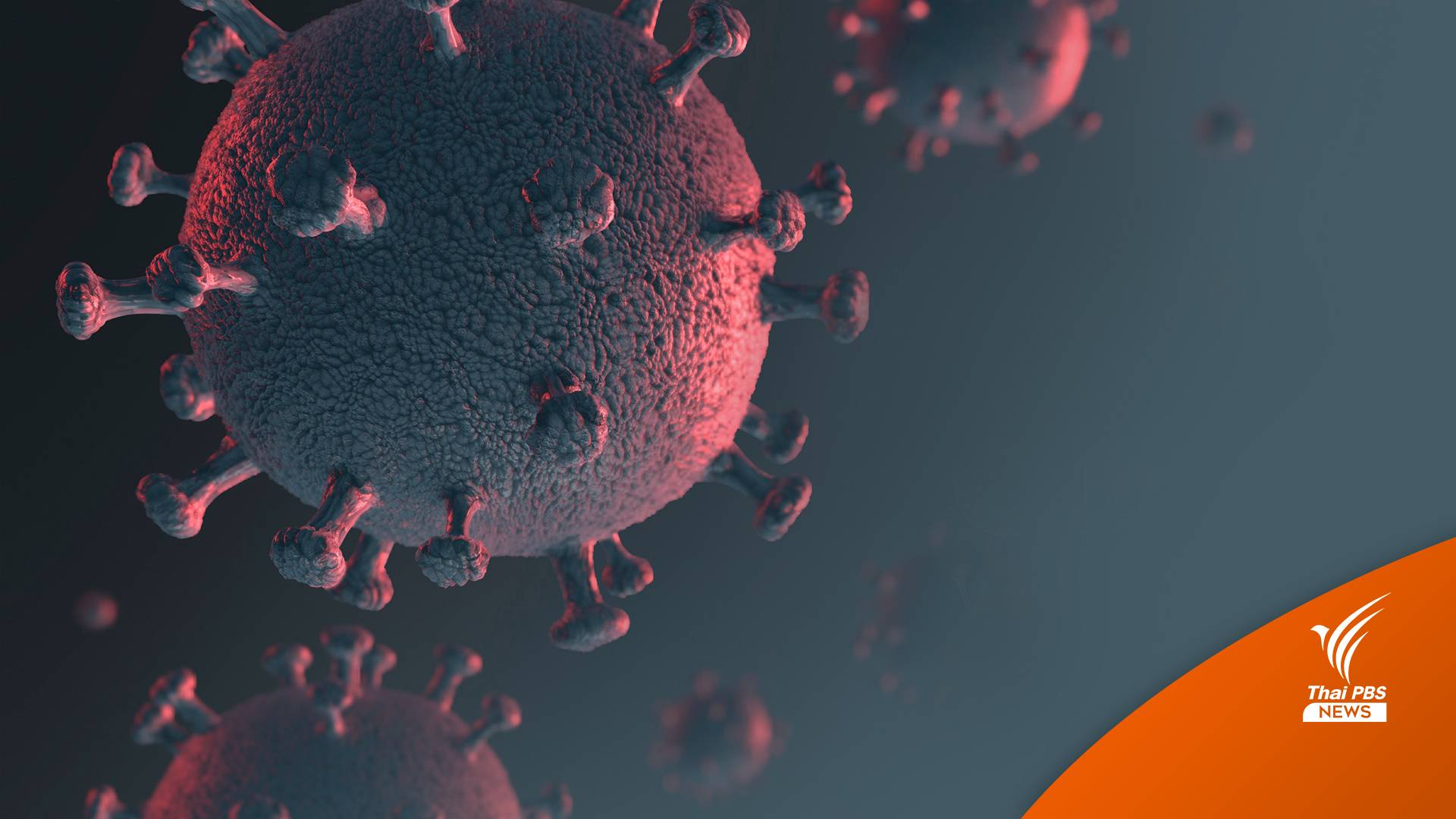"โอมิครอน" ไทยสะสม 739 คน "ลำปาง" คนแรกกลับจากต่างประเทศ